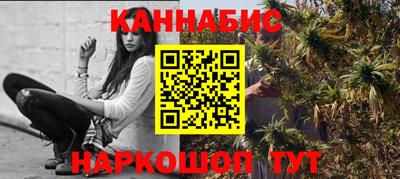 мдпв Гатчина