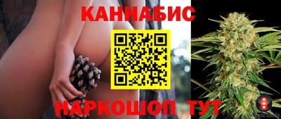 мдпв Гатчина