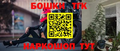 мдпв Гатчина