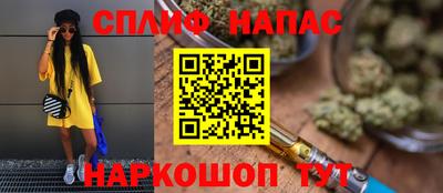 мдпв Гатчина