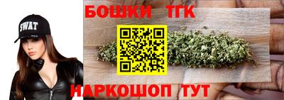 мдпв Гатчина