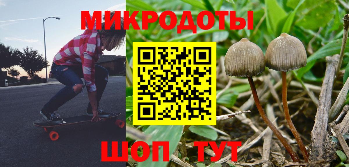 Псилоцибиновые грибы Cubensis  Псилоцибиновые грибы мицелий  Вход с VPN  Волоколамск 
