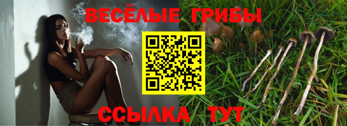 Псилоцибиновые грибы прущие грибы Волоколамск